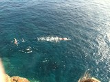 RV20120412204252.jpg