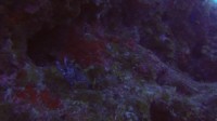 RVscuba20140616-26.jpg