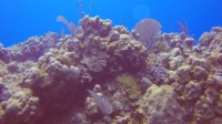 RVscuba20140617-08.jpg