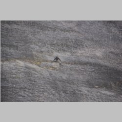 RV20150621-111515-016.jpg