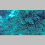 CaymanDive0063.jpg