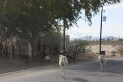 RV20110405103352.jpg