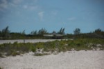 RV20130427-114418-289.jpg