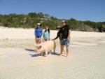 RV20130427-155422-376.jpg