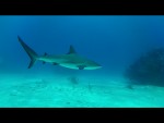 RV20130428-093242-359.png