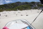 RV20130429-104546-387.jpg
